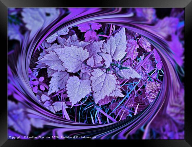 Undergrowth Framed Print by Heather Goodwin