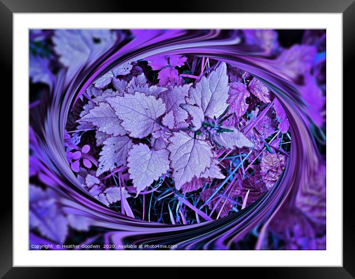 Undergrowth Framed Mounted Print by Heather Goodwin