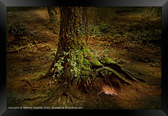 Roots Framed Print by Heather Goodwin