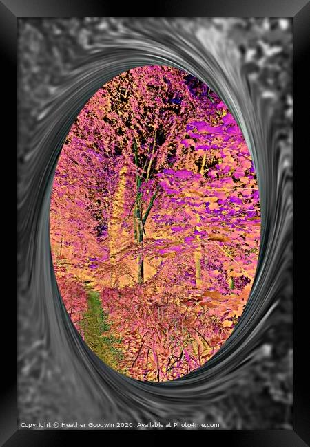 Reflection Framed Print by Heather Goodwin