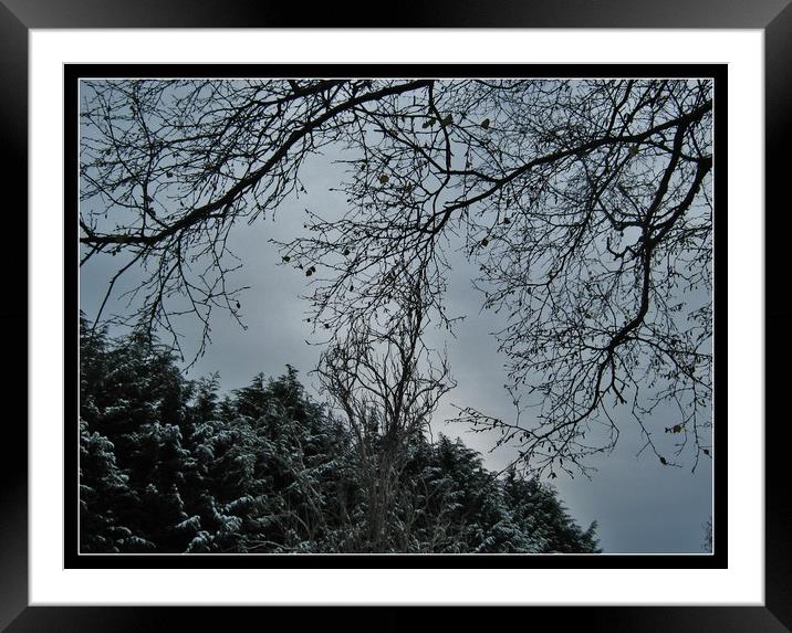 Snowy weather in the west country. Framed Mounted Print by Heather Goodwin