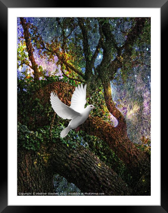 Oak Magic Framed Mounted Print by Heather Goodwin