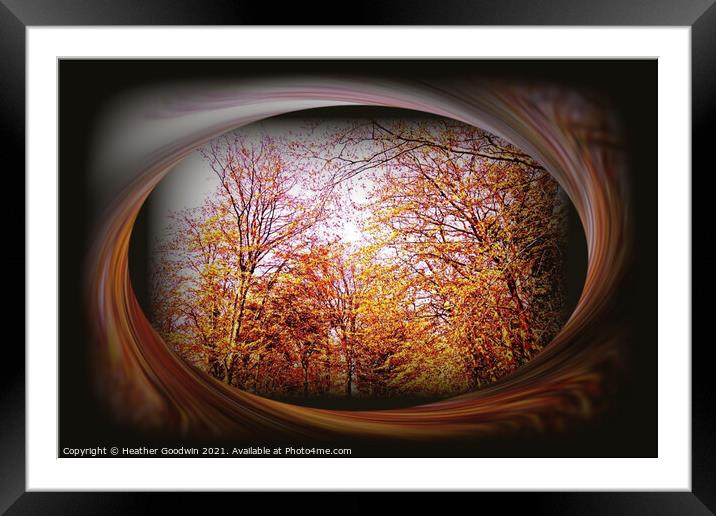 Golden Beeches Framed Mounted Print by Heather Goodwin
