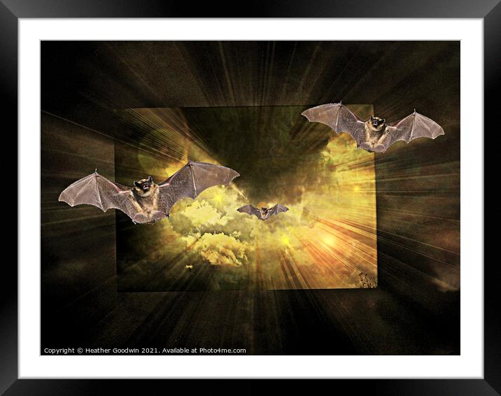 Flight Ahead of the Storm Framed Mounted Print by Heather Goodwin