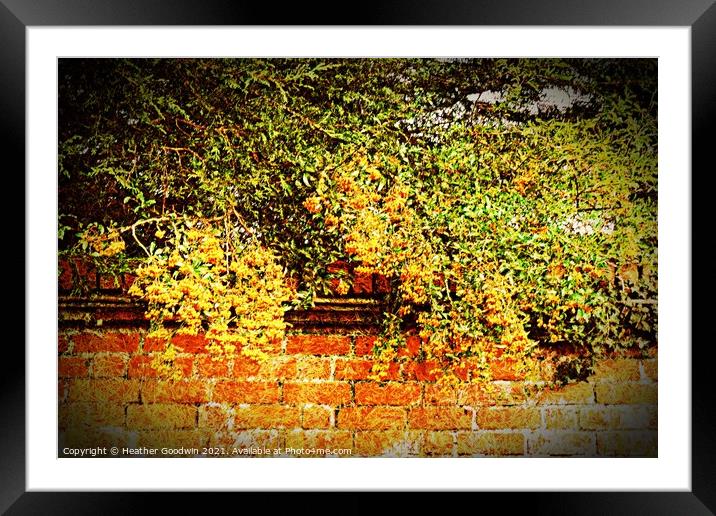Mellow Yellow Framed Mounted Print by Heather Goodwin