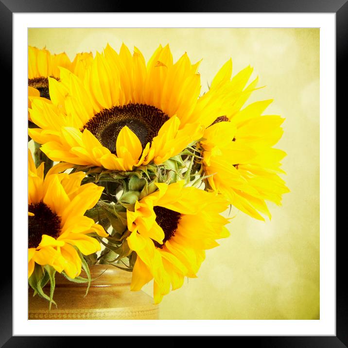 Sunflowers In A Jar Framed Mounted Print by Lynne Davies
