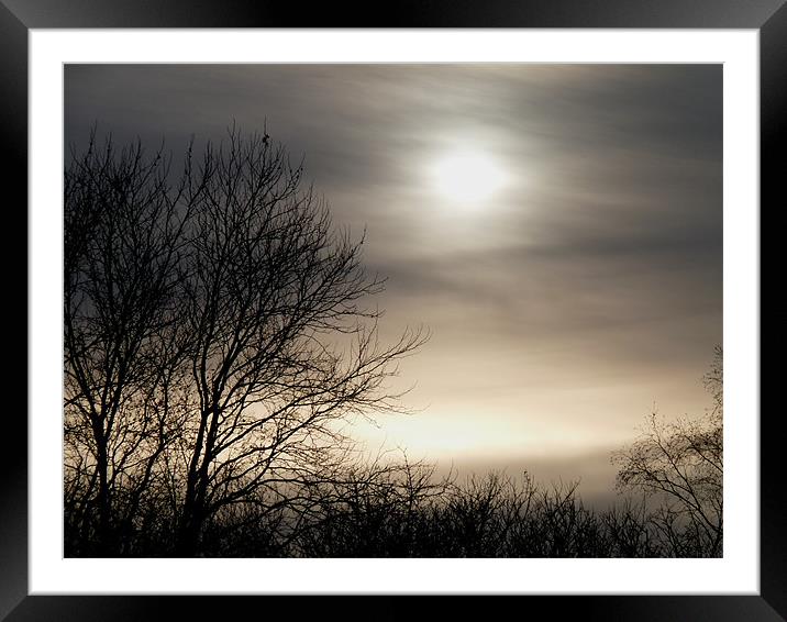 Winter Sun Framed Mounted Print by susan potter