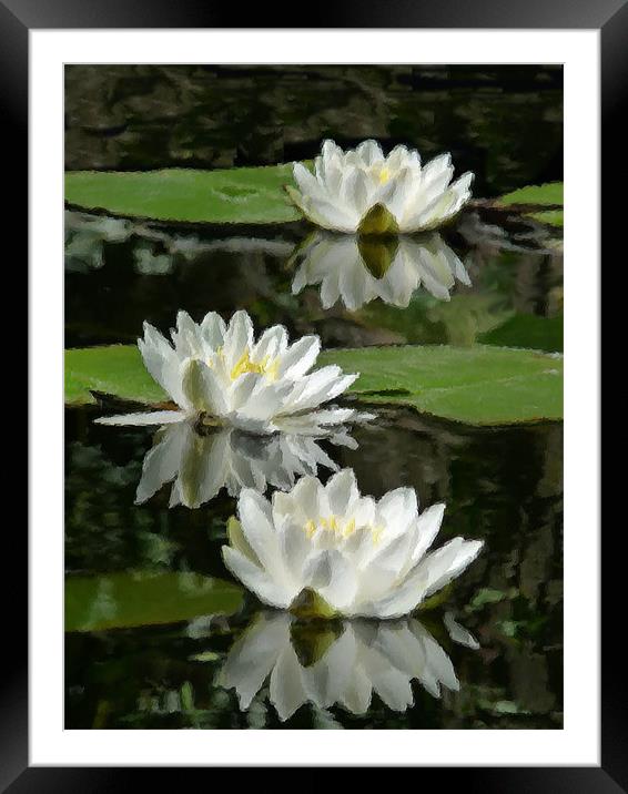 Study of Waterlilies Framed Mounted Print by susan potter