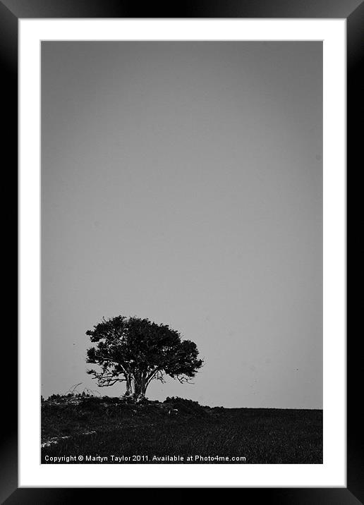Lone Tree Framed Mounted Print by Martyn Taylor