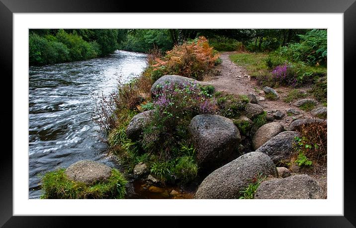 Two Paths Framed Mounted Print by Judy Andrews