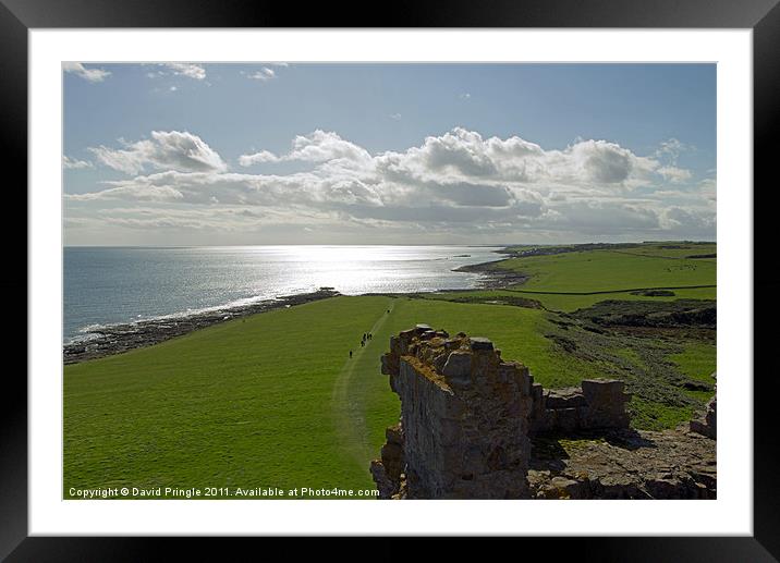 Coastal Path Framed Mounted Print by David Pringle