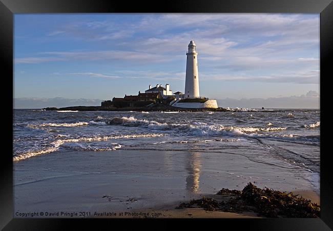 St Marys Lighthouse Framed Print by David Pringle