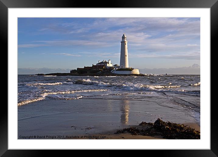 St Marys Lighthouse Framed Mounted Print by David Pringle