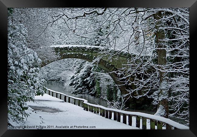 Bridge In Snow Framed Print by David Pringle