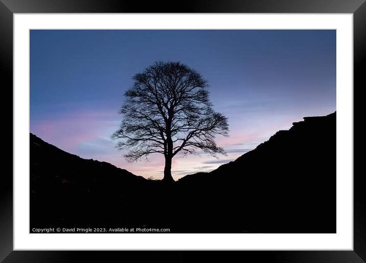 Sycamore Gap Framed Mounted Print by David Pringle