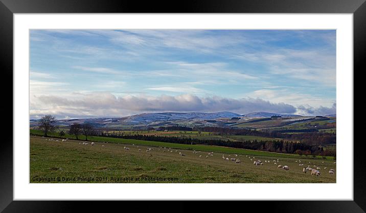 Cheviot Hills Framed Mounted Print by David Pringle