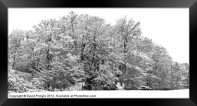 Snow Scene In Monochrome Framed Print by David Pringle