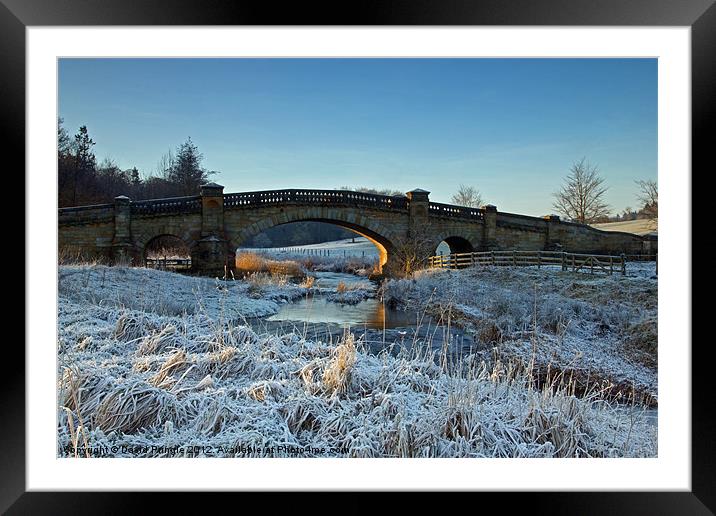 Bridge Over River Wansbeck Framed Mounted Print by David Pringle