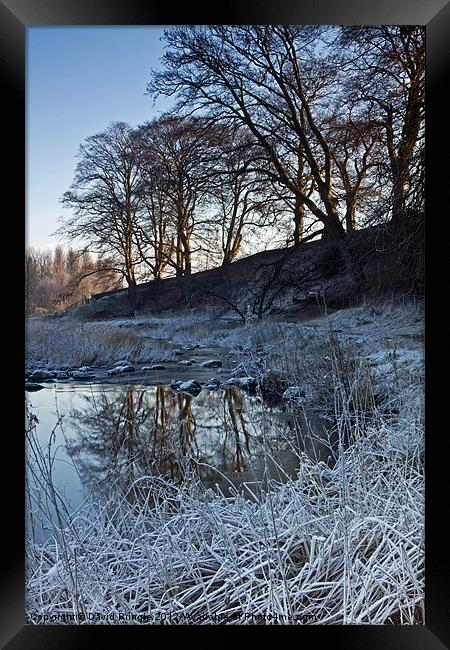 Winter Reflections Framed Print by David Pringle