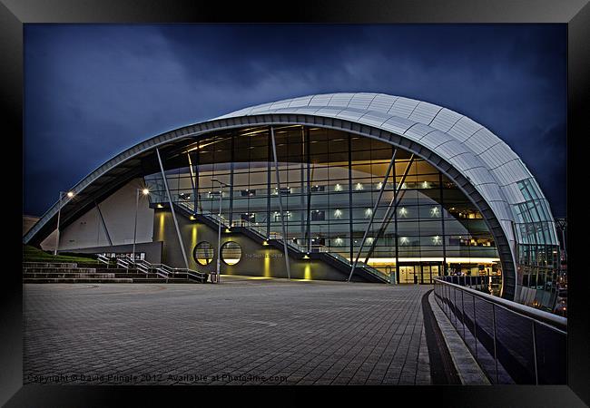 Sage Gateshead Framed Print by David Pringle