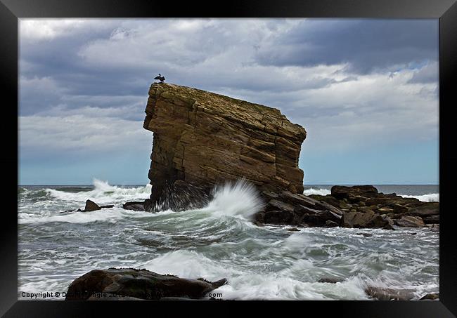 High Tide at Charley's Garden Framed Print by David Pringle