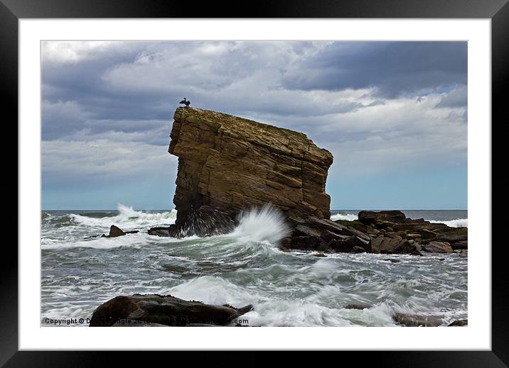 High Tide at Charley's Garden Framed Mounted Print by David Pringle