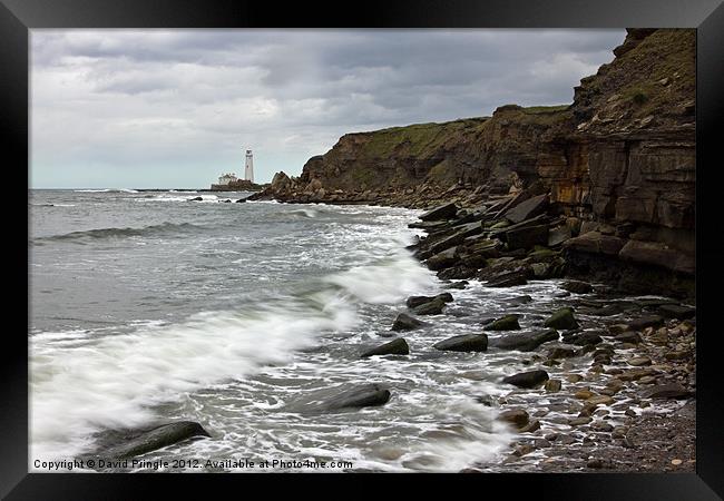 St Marys Lighthouse Framed Print by David Pringle