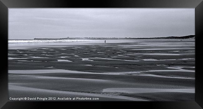 Warkworth Beach Framed Print by David Pringle
