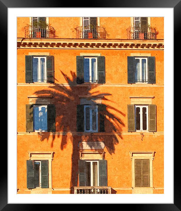 Palm Tree Framed Mounted Print by David Pringle