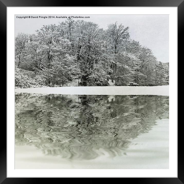 Winter Reflection Framed Mounted Print by David Pringle