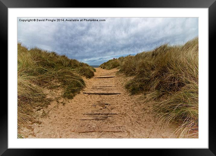 Path to the Sea Framed Mounted Print by David Pringle