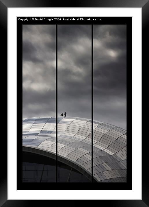 Roof of the Sage Framed Mounted Print by David Pringle