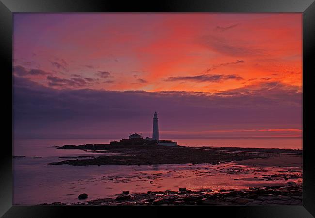 St Marys Lighthouse Sunrise Framed Print by David Pringle