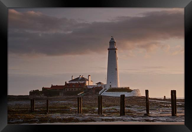 St. Marys Lighthouse After Sunrise Framed Print by David Pringle