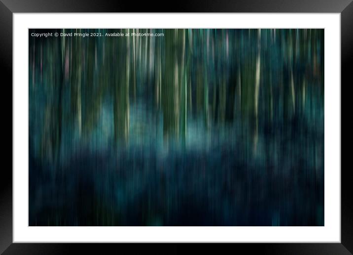 Woodland Abstract  Framed Mounted Print by David Pringle