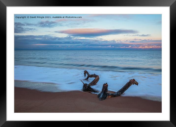 Driftwood Framed Mounted Print by David Pringle