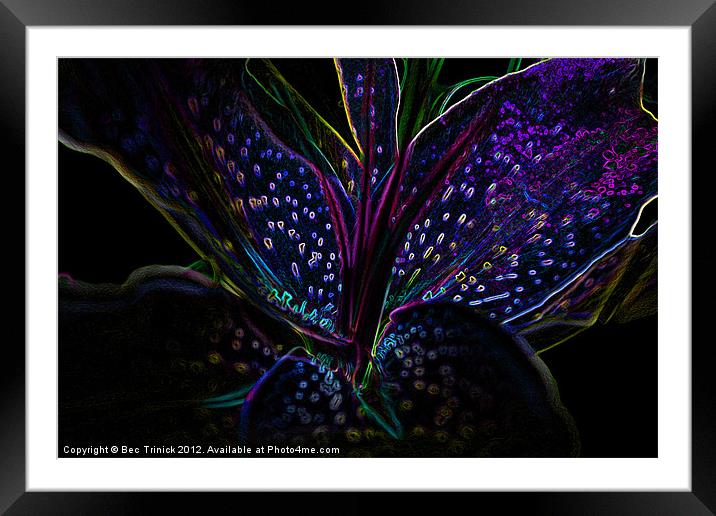 Lilli Of The Night Framed Mounted Print by Bec Trinick