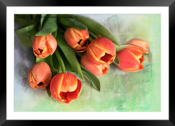 Tulips Framed Mounted Print by Lynn Bolt
