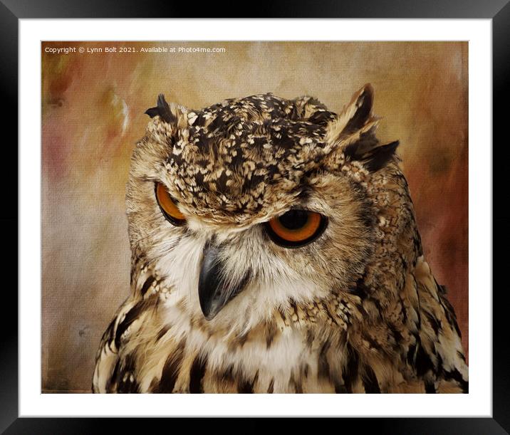 Eagle Owl Framed Mounted Print by Lynn Bolt
