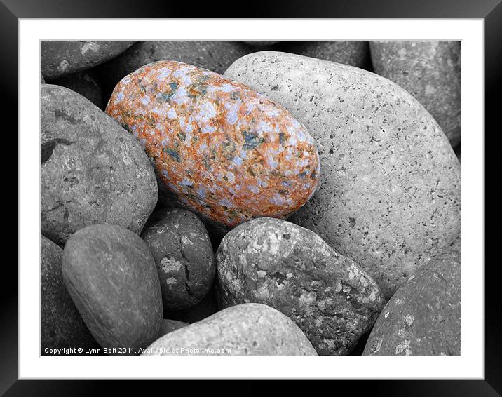 Pebbles on the Beach Framed Mounted Print by Lynn Bolt