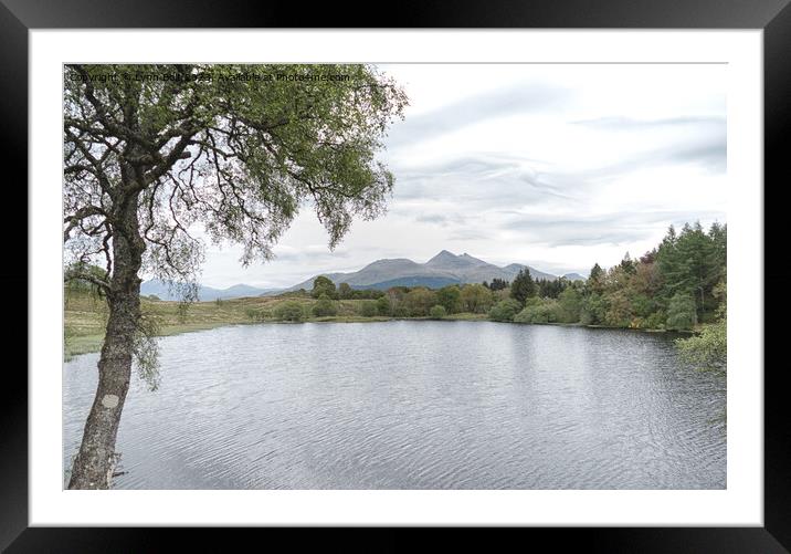 Loch Angus Argyll Framed Mounted Print by Lynn Bolt