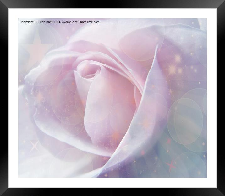 Pink Rose with Stars Framed Mounted Print by Lynn Bolt