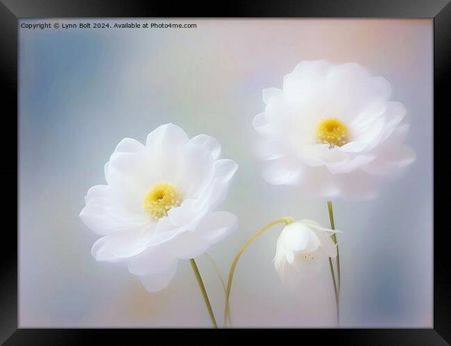 Three White Flowers Framed Print by Lynn Bolt