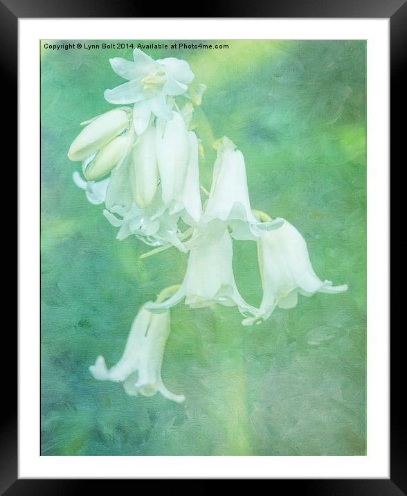 White Bluebell Framed Mounted Print by Lynn Bolt
