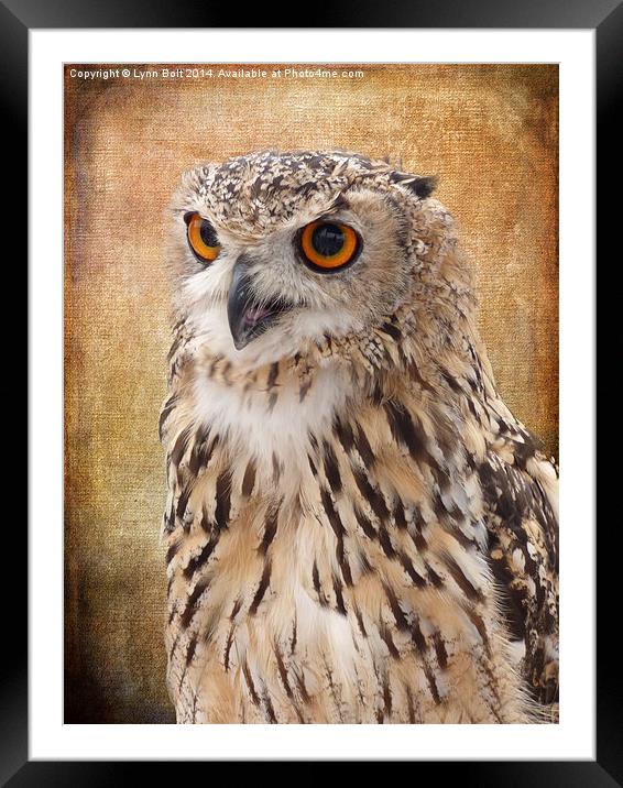  Eagle Owl Framed Mounted Print by Lynn Bolt