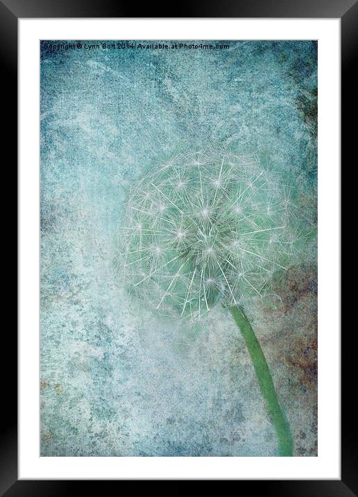  Delicate and Blue Framed Mounted Print by Lynn Bolt