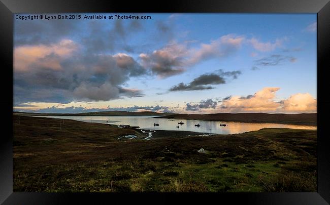 Evening Light in the Shetland Isles Framed Print by Lynn Bolt