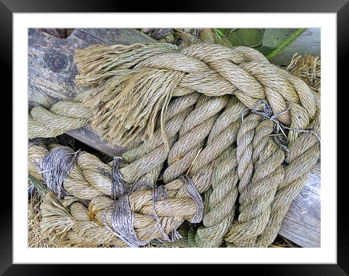 Any Old Rope Framed Mounted Print by Lynn Bolt