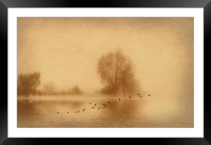 Mist over Wansbeck Framed Mounted Print by Richie Fairlamb
