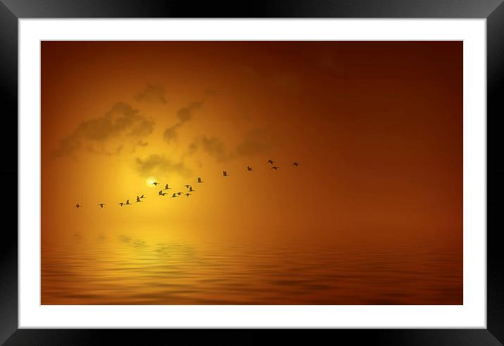 Migration Framed Mounted Print by Richie Fairlamb